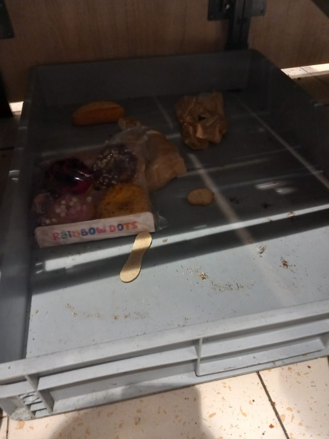 foto comisarii cjpc constanta au inchis lidl navodari ce nereguli au fost constatate 943550 foto comisarii cjpc constanta au inchis lidl navodari ce nereguli au fost constatate 943550