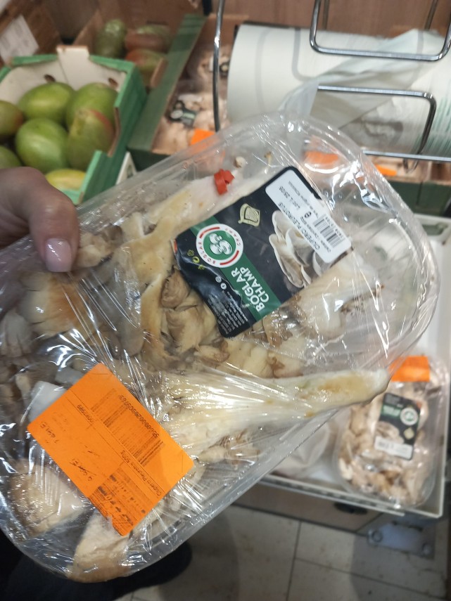 foto comisarii cjpc constanta au inchis lidl navodari ce nereguli au fost constatate 943550 foto comisarii cjpc constanta au inchis lidl navodari ce nereguli au fost constatate 943550