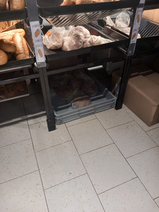 foto comisarii cjpc constanta au inchis lidl navodari ce nereguli au fost constatate 943550 foto comisarii cjpc constanta au inchis lidl navodari ce nereguli au fost constatate 943550