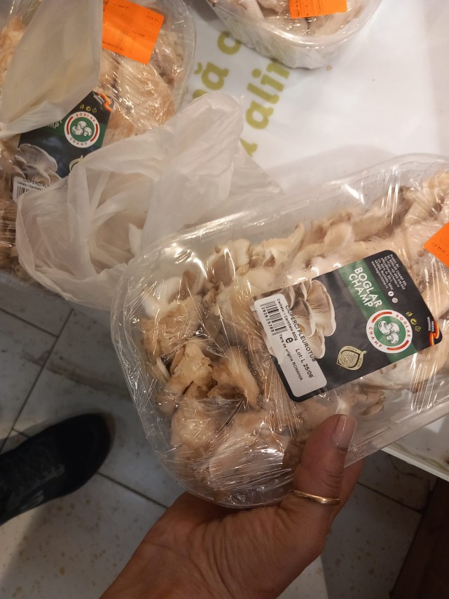 foto comisarii cjpc constanta au inchis lidl navodari ce nereguli au fost constatate 943550 foto comisarii cjpc constanta au inchis lidl navodari ce nereguli au fost constatate 943550