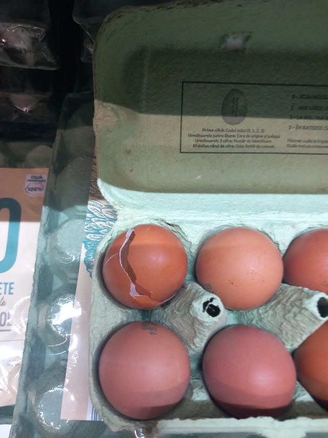 foto comisarii cjpc constanta au inchis lidl navodari ce nereguli au fost constatate 943550 foto comisarii cjpc constanta au inchis lidl navodari ce nereguli au fost constatate 943550