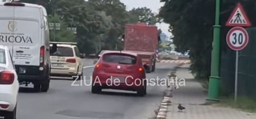 foto video stiri constanta accident in navodari o autospeciala de politie si un autoturism implicate foto video stiri constanta accident in navodari o autospeciala de politie si un autoturism implicate