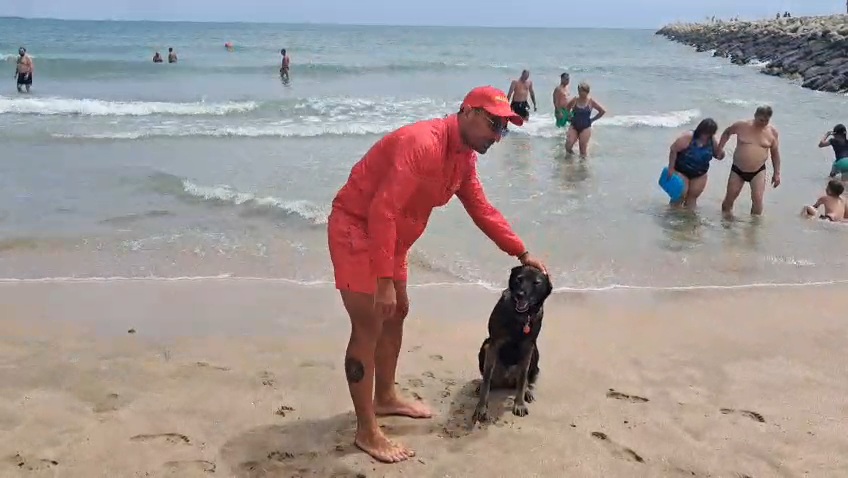 artistul care salveaza vieti foto video un balerin al operei din iasi vegheaza plajele din eforie alaturi artistul care salveaza vieti foto video un balerin al operei din iasi vegheaza plajele din eforie alaturi