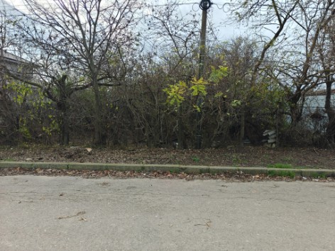foto licitatii constanta un teren din mangalia scos la licitatie in cadrul unei proceduri de lichidare foto licitatii constanta un teren din mangalia scos la licitatie in cadrul unei proceduri de lichidare
