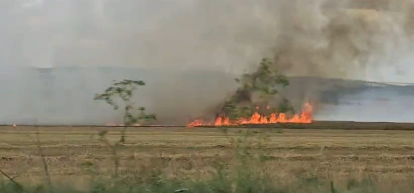 stiri constanta foto video incendiu la o cultura de grau in apropiere de localitatea palazu mic pompierii stiri constanta foto video incendiu la o cultura de grau in apropiere de localitatea palazu mic pompierii