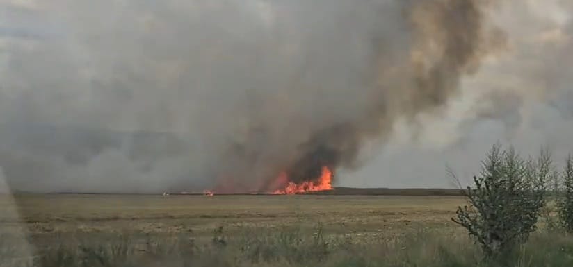 stiri constanta foto video incendiu la o cultura de grau in apropiere de localitatea palazu mic pompierii stiri constanta foto video incendiu la o cultura de grau in apropiere de localitatea palazu mic pompierii