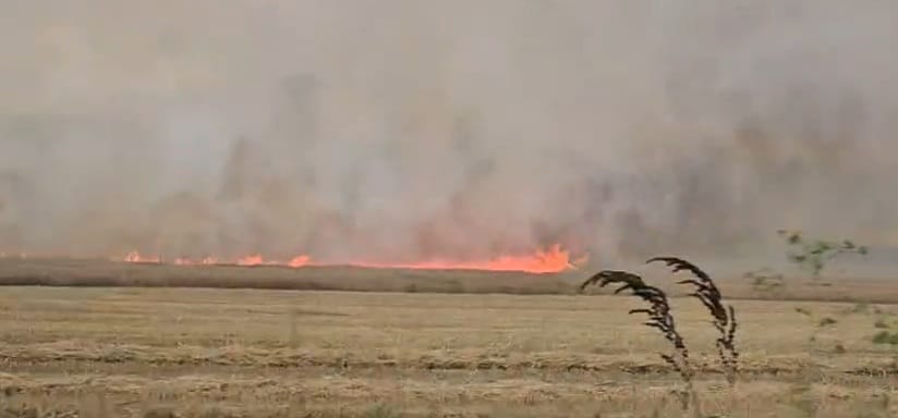 stiri constanta foto video incendiu la o cultura de grau in apropiere de localitatea palazu mic pompierii stiri constanta foto video incendiu la o cultura de grau in apropiere de localitatea palazu mic pompierii
