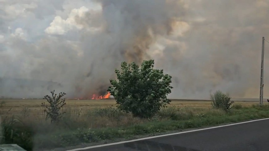 stiri constanta foto video incendiu la o cultura de grau in apropiere de localitatea palazu mic pompierii stiri constanta foto video incendiu la o cultura de grau in apropiere de localitatea palazu mic pompierii