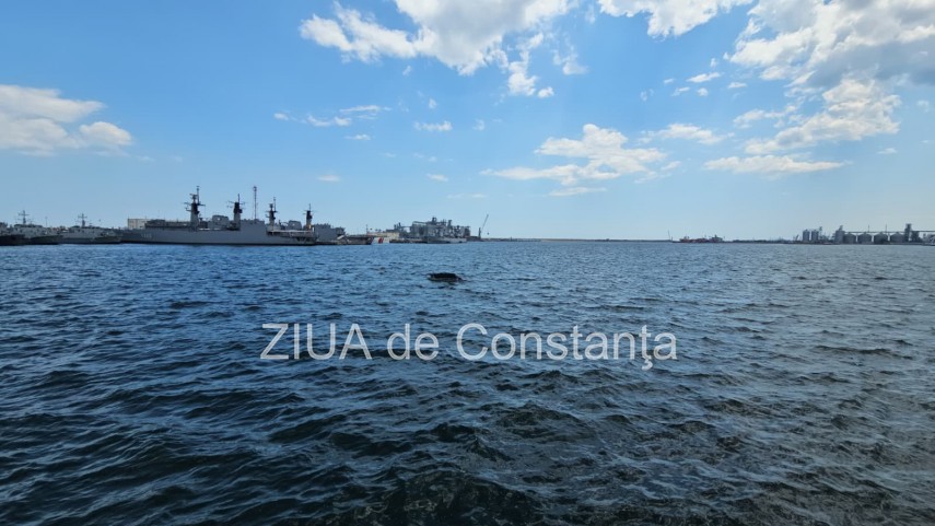 foto video securitate de ultima generatie in portul constanta garda de coasta testeaza o platforma maritima foto video securitate de ultima generatie in portul constanta garda de coasta testeaza o platforma maritima