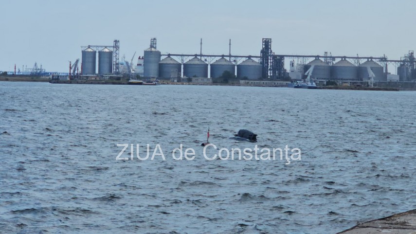 foto video securitate de ultima generatie in portul constanta garda de coasta testeaza o platforma maritima foto video securitate de ultima generatie in portul constanta garda de coasta testeaza o platforma maritima