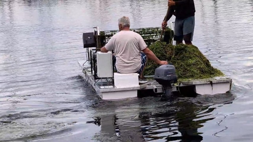 foto video cantitati importante de alge s au acumulat in ultimele zile in zona portului tomis din constanta foto video cantitati importante de alge s au acumulat in ultimele zile in zona portului tomis din constanta