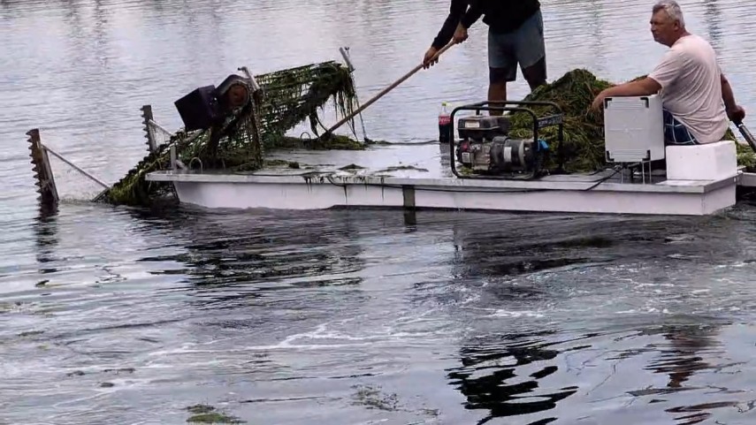 foto video cantitati importante de alge s au acumulat in ultimele zile in zona portului tomis din constanta foto video cantitati importante de alge s au acumulat in ultimele zile in zona portului tomis din constanta