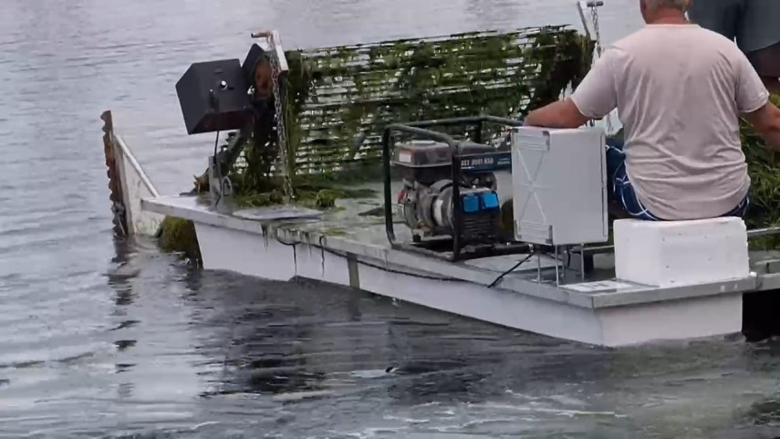 foto video cantitati importante de alge s au acumulat in ultimele zile in zona portului tomis din constanta foto video cantitati importante de alge s au acumulat in ultimele zile in zona portului tomis din constanta