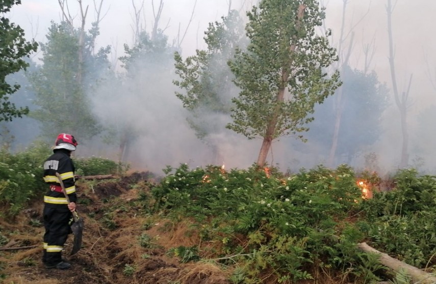 sursa foto: ISU Tulcea