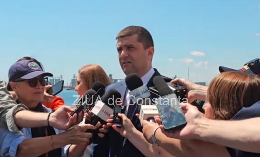 Ministrul interimar al Apărării, Radu Miruță
