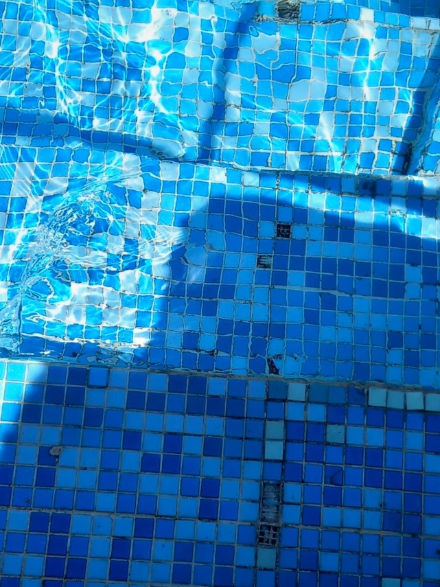 foto amenzi de peste 750 000 de lei aplicate in ultima saptamana pe litoralul romanesc al marii negre foto amenzi de peste 750 000 de lei aplicate in ultima saptamana pe litoralul romanesc al marii negre