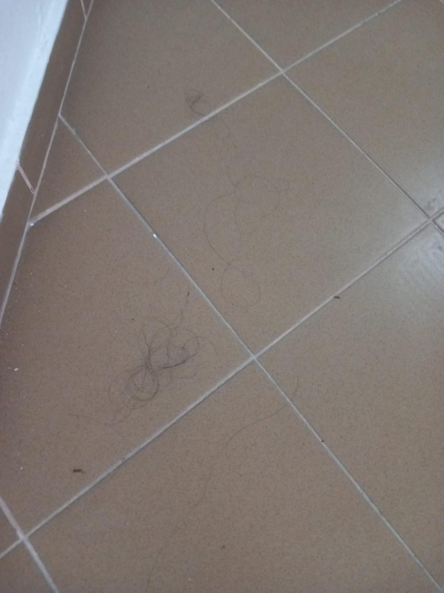 foto amenzi de peste 750 000 de lei aplicate in ultima saptamana pe litoralul romanesc al marii negre foto amenzi de peste 750 000 de lei aplicate in ultima saptamana pe litoralul romanesc al marii negre