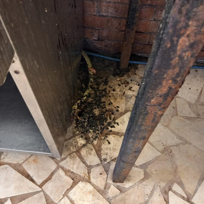 foto amenzi de peste 750 000 de lei aplicate in ultima saptamana pe litoralul romanesc al marii negre foto amenzi de peste 750 000 de lei aplicate in ultima saptamana pe litoralul romanesc al marii negre
