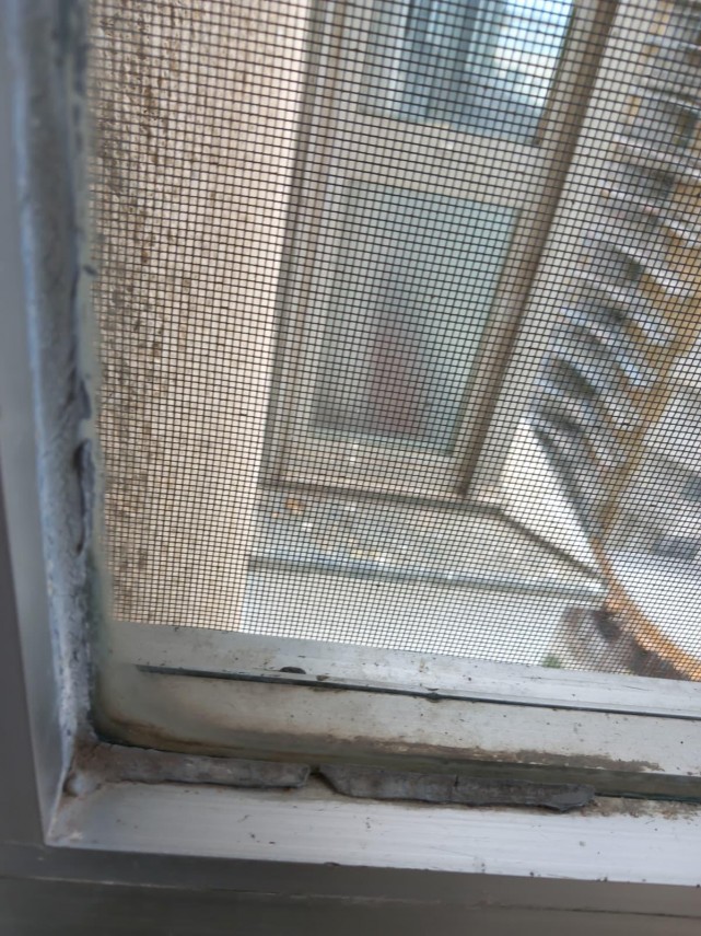 foto amenzi de peste 750 000 de lei aplicate in ultima saptamana pe litoralul romanesc al marii negre foto amenzi de peste 750 000 de lei aplicate in ultima saptamana pe litoralul romanesc al marii negre