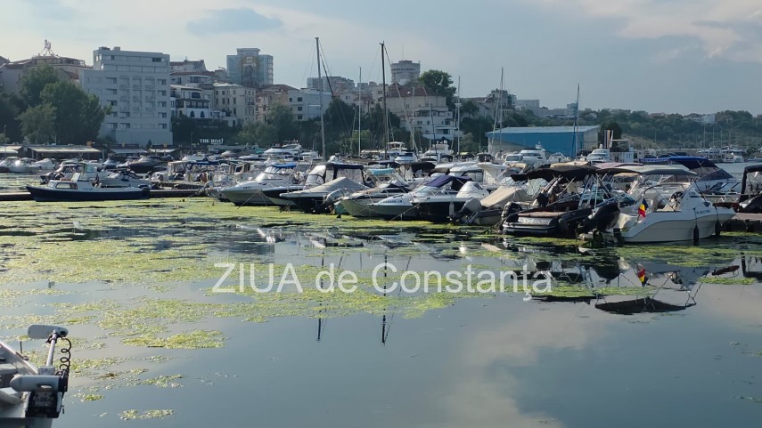 stiri constanta foto video imagini din portul tomis stratul de alge verzi a atras atentia trecatorilor stiri constanta foto video imagini din portul tomis stratul de alge verzi a atras atentia trecatorilor