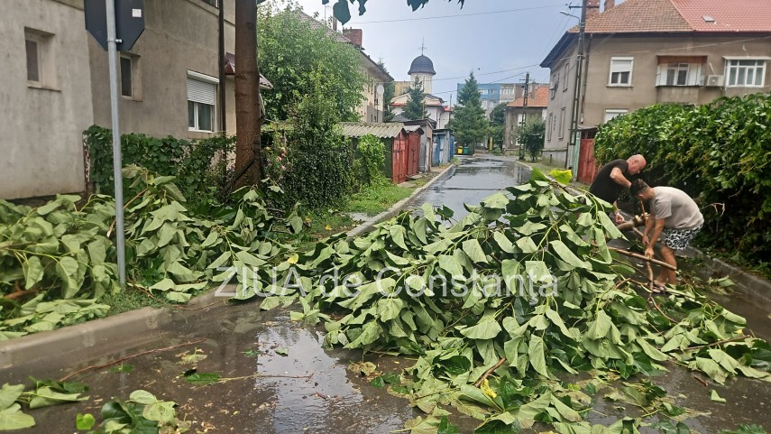stiri constanta acoperis smuls de vant si copaci pusi la pamant in murfatlar in urma codului portocaliu stiri constanta acoperis smuls de vant si copaci pusi la pamant in murfatlar in urma codului portocaliu