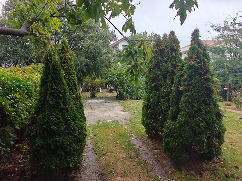 foto licitatii constanta dgfp constanta scoate la licitatie o vila si un teren de 655 mp in palazu mare foto licitatii constanta dgfp constanta scoate la licitatie o vila si un teren de 655 mp in palazu mare