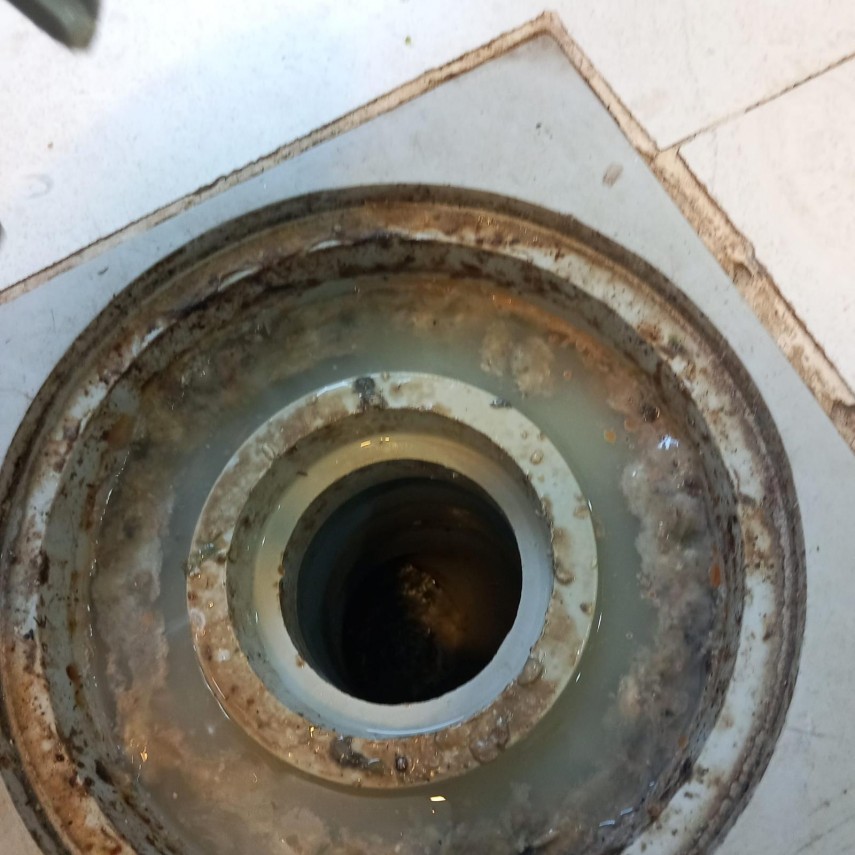 foto controale anpc pe litoral amenzi de peste un milion de lei si 15 afaceri cu activitatea suspendata foto controale anpc pe litoral amenzi de peste un milion de lei si 15 afaceri cu activitatea suspendata