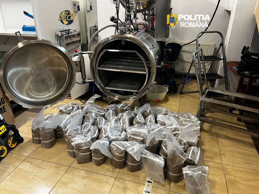 foto ciuperci halucinogene cultivate in capitala culturi de droguri de risc si mare risc destructurate foto ciuperci halucinogene cultivate in capitala culturi de droguri de risc si mare risc destructurate