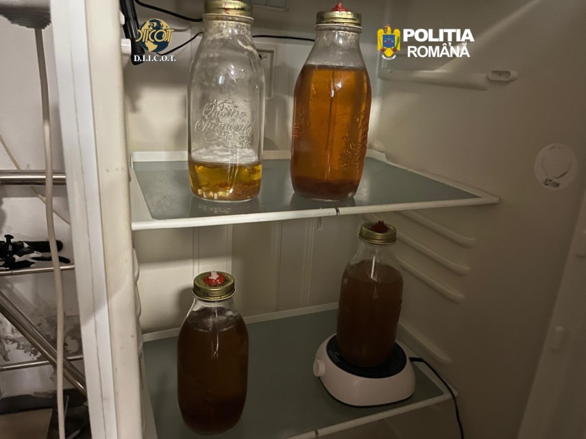 foto ciuperci halucinogene cultivate in capitala culturi de droguri de risc si mare risc destructurate foto ciuperci halucinogene cultivate in capitala culturi de droguri de risc si mare risc destructurate