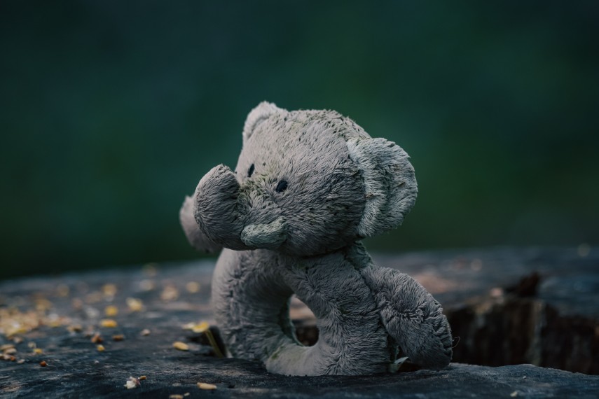 Foto cu rol ilustrativ Sursa foto: Pixabay