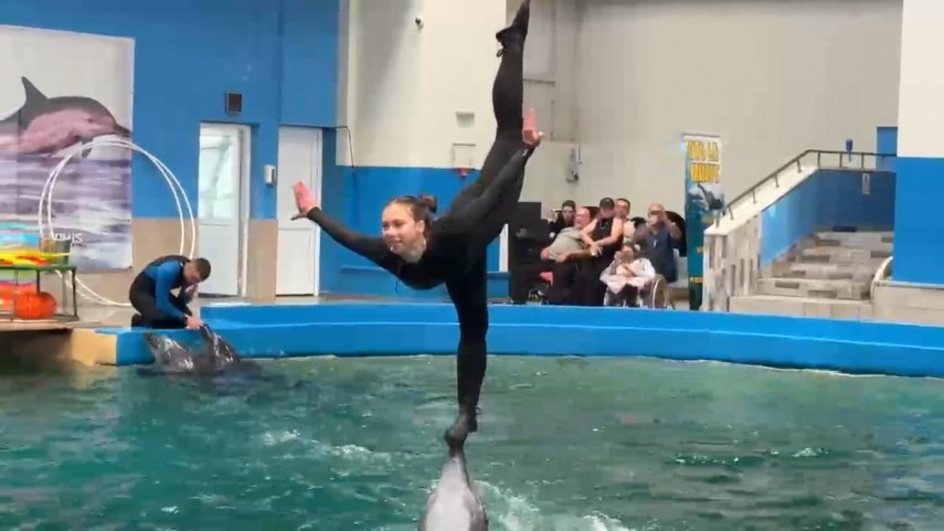 foto video aglomeratie la delfinariul din constanta toate biletele pentru primele trei reprezentatii foto video aglomeratie la delfinariul din constanta toate biletele pentru primele trei reprezentatii