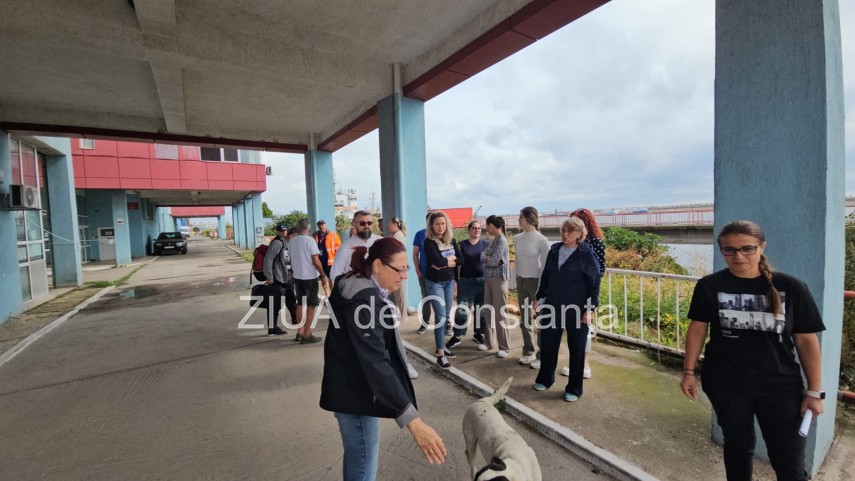 live video foto protest la sediul arsvom dupa incidentul grav de la bordul navei gas lisbon 946950 live video foto protest la sediul arsvom dupa incidentul grav de la bordul navei gas lisbon 946950