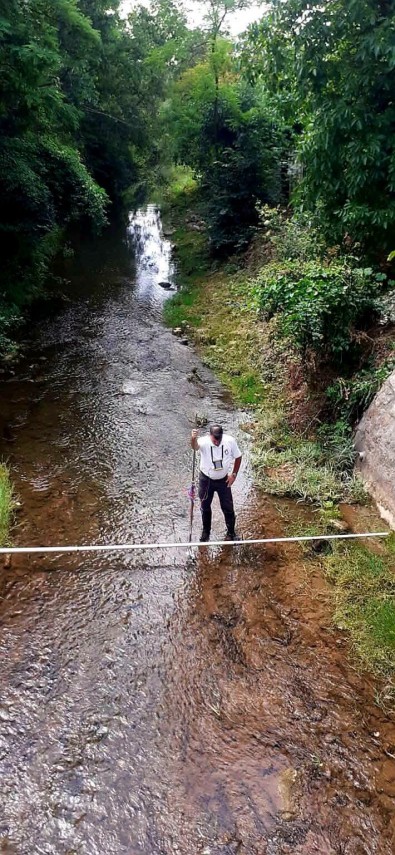 foto apele romane anunta rauri uscate complet si restrictii la irigatii pe dunare 947053 foto apele romane anunta rauri uscate complet si restrictii la irigatii pe dunare 947053