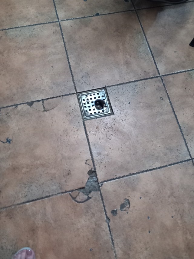 foto controale de amploare ale anpc in judetul constanta mizerie insecte si alimente expirate in restaurante foto controale de amploare ale anpc in judetul constanta mizerie insecte si alimente expirate in restaurante
