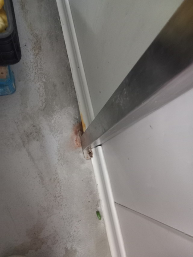 foto controale de amploare ale anpc in judetul constanta mizerie insecte si alimente expirate in restaurante foto controale de amploare ale anpc in judetul constanta mizerie insecte si alimente expirate in restaurante