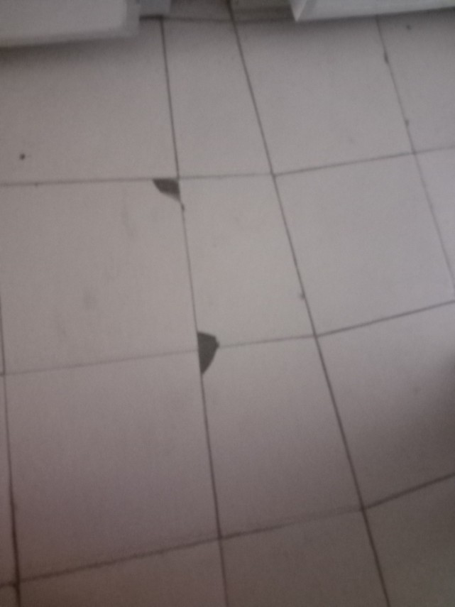 foto controale de amploare ale anpc in judetul constanta mizerie insecte si alimente expirate in restaurante foto controale de amploare ale anpc in judetul constanta mizerie insecte si alimente expirate in restaurante