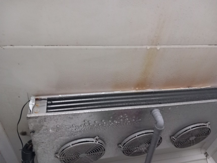 foto controale de amploare ale anpc in judetul constanta mizerie insecte si alimente expirate in restaurante foto controale de amploare ale anpc in judetul constanta mizerie insecte si alimente expirate in restaurante