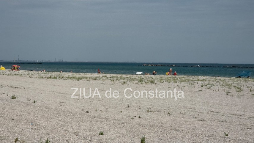 foto video fotoreportaj mamaia a inverzit in plin sezon estival vegetatia a pus stapanire pe plajele foto video fotoreportaj mamaia a inverzit in plin sezon estival vegetatia a pus stapanire pe plajele