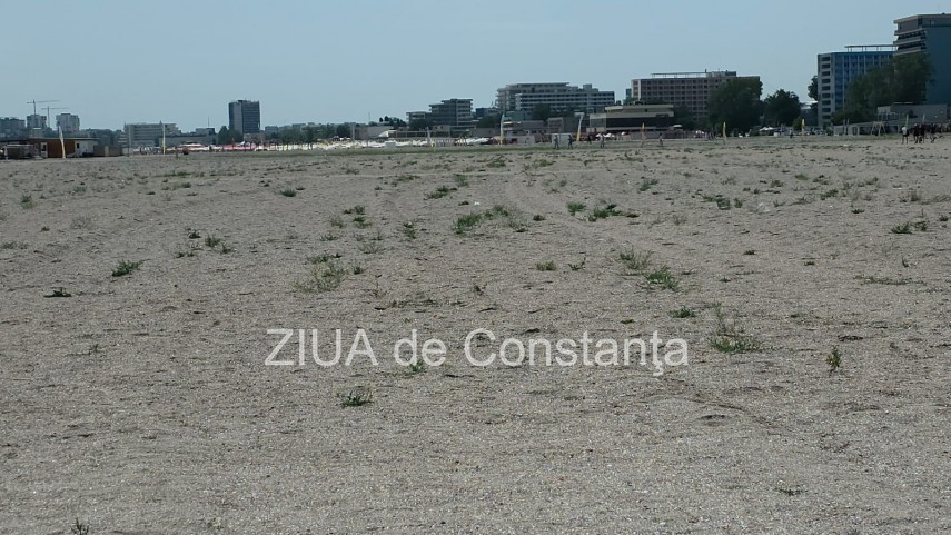 foto video fotoreportaj mamaia a inverzit in plin sezon estival vegetatia a pus stapanire pe plajele foto video fotoreportaj mamaia a inverzit in plin sezon estival vegetatia a pus stapanire pe plajele