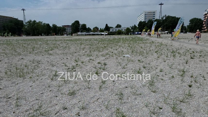 foto video fotoreportaj mamaia a inverzit in plin sezon estival vegetatia a pus stapanire pe plajele foto video fotoreportaj mamaia a inverzit in plin sezon estival vegetatia a pus stapanire pe plajele
