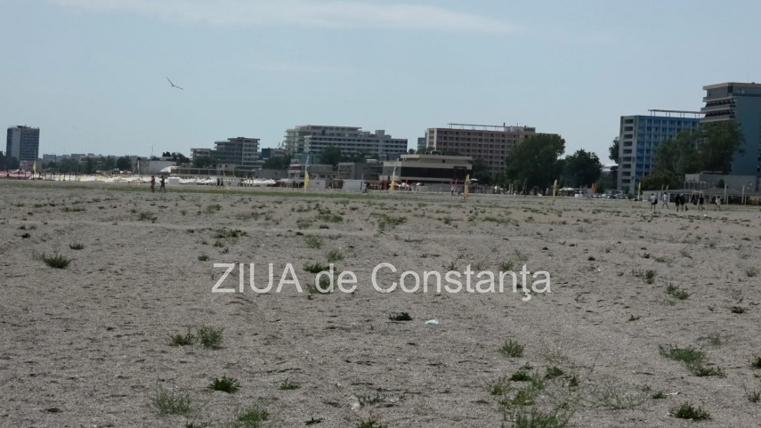 foto video fotoreportaj mamaia a inverzit in plin sezon estival vegetatia a pus stapanire pe plajele foto video fotoreportaj mamaia a inverzit in plin sezon estival vegetatia a pus stapanire pe plajele