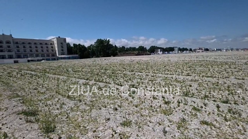 foto video fotoreportaj mamaia a inverzit in plin sezon estival vegetatia a pus stapanire pe plajele foto video fotoreportaj mamaia a inverzit in plin sezon estival vegetatia a pus stapanire pe plajele
