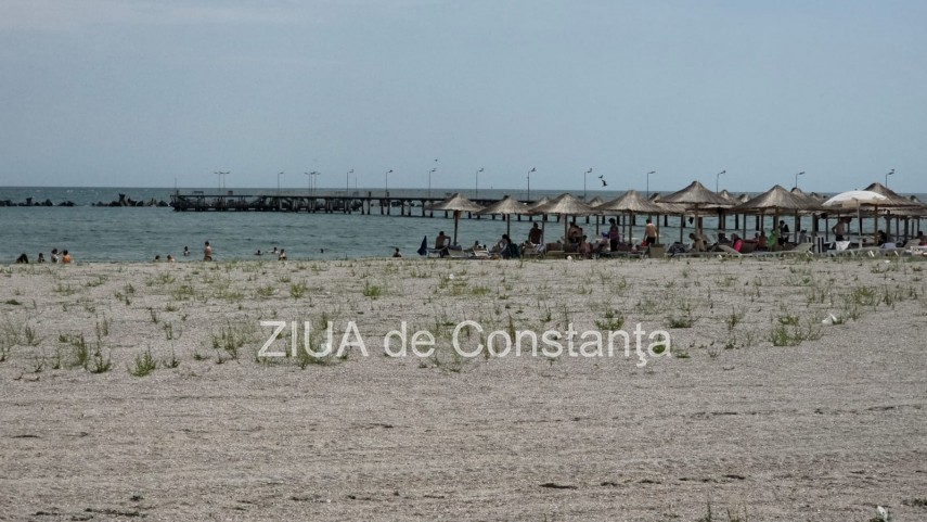 foto video fotoreportaj mamaia a inverzit in plin sezon estival vegetatia a pus stapanire pe plajele foto video fotoreportaj mamaia a inverzit in plin sezon estival vegetatia a pus stapanire pe plajele