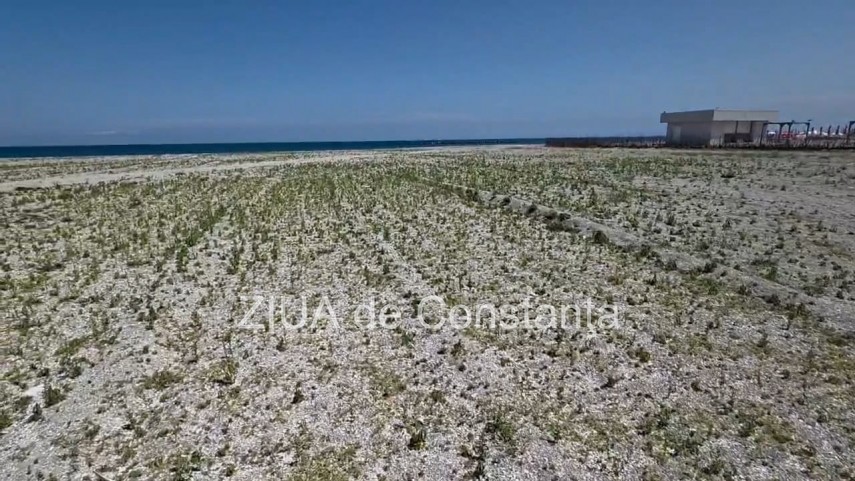 foto video fotoreportaj mamaia a inverzit in plin sezon estival vegetatia a pus stapanire pe plajele foto video fotoreportaj mamaia a inverzit in plin sezon estival vegetatia a pus stapanire pe plajele