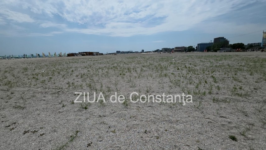 foto video fotoreportaj mamaia a inverzit in plin sezon estival vegetatia a pus stapanire pe plajele foto video fotoreportaj mamaia a inverzit in plin sezon estival vegetatia a pus stapanire pe plajele