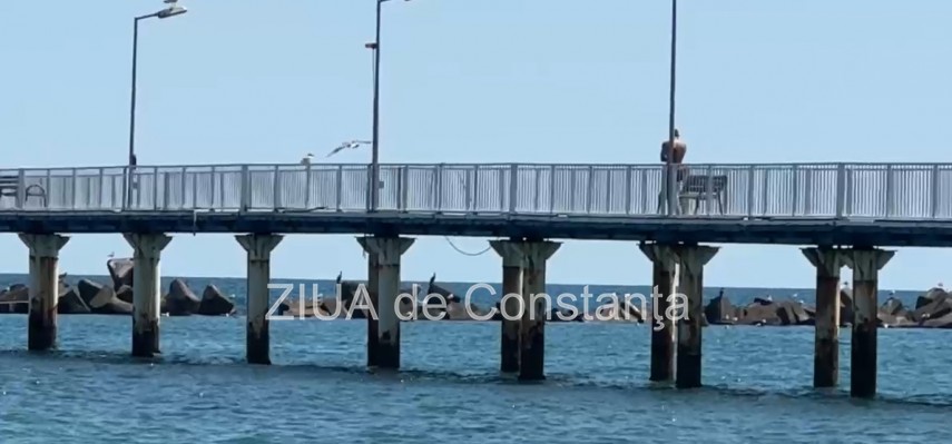 foto video distractie periculoasa in statiunea mamaia tinerii se arunca in mare de pe pasarela pietonala foto video distractie periculoasa in statiunea mamaia tinerii se arunca in mare de pe pasarela pietonala