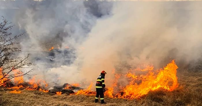 Sursa foto: ISU Ialomița