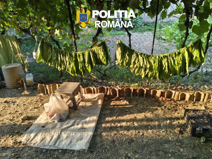 foto fabrica ilegala de tigari descoperita in tulcea peste 5 tone de tutun si mii de tigarete confectionate foto fabrica ilegala de tigari descoperita in tulcea peste 5 tone de tutun si mii de tigarete confectionate