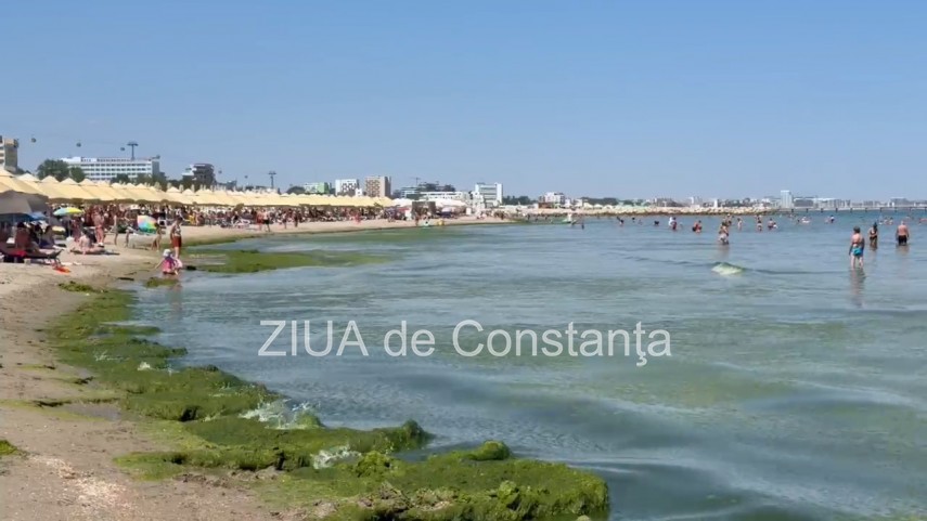 foto video turisti revoltati de algele din zona cleopatra in mamaia in loc sa inot in apa inot in smantana foto video turisti revoltati de algele din zona cleopatra in mamaia in loc sa inot in apa inot in smantana