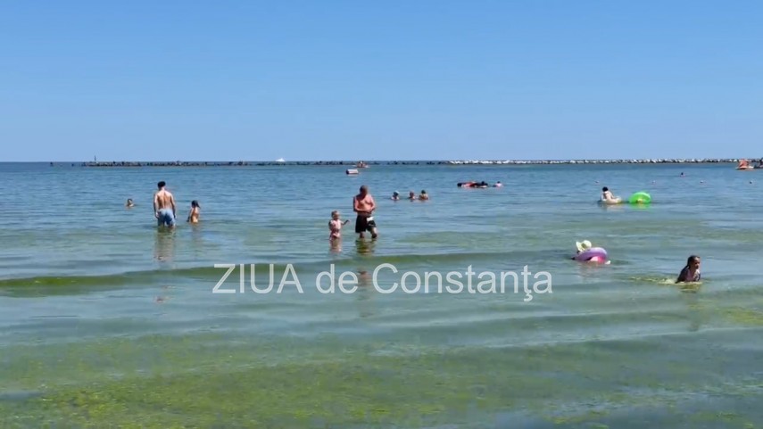 foto video turisti revoltati de algele din zona cleopatra in mamaia in loc sa inot in apa inot in smantana foto video turisti revoltati de algele din zona cleopatra in mamaia in loc sa inot in apa inot in smantana